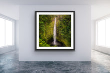Load image into Gallery viewer, Akaka Falls II - Francesco Emanuele Carucci Photography