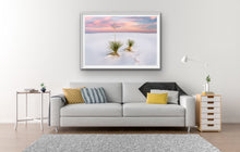 Load image into Gallery viewer, Yucca - Francesco Emanuele Carucci Photography