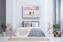 Load image into Gallery viewer, Yucca - Francesco Emanuele Carucci Photography