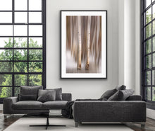 Load image into Gallery viewer, Aspen Impressions II, Tahoe - Francesco Emanuele Carucci Photography
