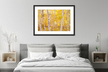 Load image into Gallery viewer, Golden Trees - Francesco Emanuele Carucci Photography