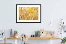 Load image into Gallery viewer, Golden Trees - Francesco Emanuele Carucci Photography