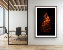 Load image into Gallery viewer, Fury, June Lake - Francesco Emanuele Carucci Photography
