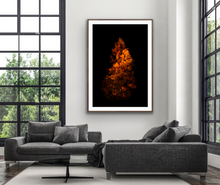 Load image into Gallery viewer, Fury, June Lake - Francesco Emanuele Carucci Photography