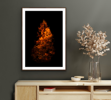 Load image into Gallery viewer, Fury, June Lake - Francesco Emanuele Carucci Photography