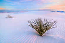 Load image into Gallery viewer, White Dunes - Francesco Emanuele Carucci Photography