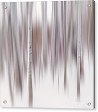 Load image into Gallery viewer, Aspen Impressions #1 - Francesco Emanuele Carucci Photography