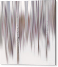 Load image into Gallery viewer, Aspen Impressions #1 - Francesco Emanuele Carucci Photography
