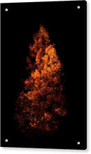 Load image into Gallery viewer, Fury - Francesco Emanuele Carucci Photography