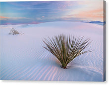 Load image into Gallery viewer, White Dunes - Canvas Print - Francesco Emanuele Carucci Photography