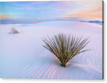 Load image into Gallery viewer, White Dunes - Francesco Emanuele Carucci Photography
