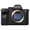 Review: Sony a7R Mark IV in the Field