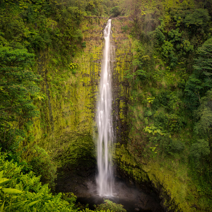 Akaka Falls II