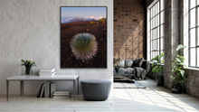 Load image into Gallery viewer, Silversword @ Haleakala