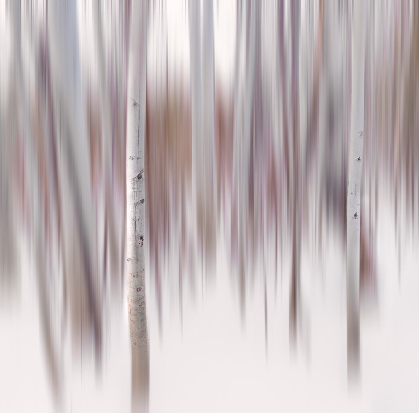 Aspen Impressions, Ghosts of Tahoe - Francesco Emanuele Carucci Photography