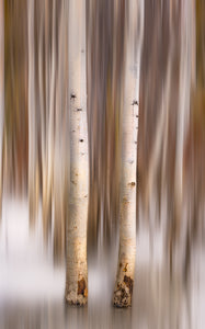 Aspen Impressions II, Tahoe - Francesco Emanuele Carucci Photography