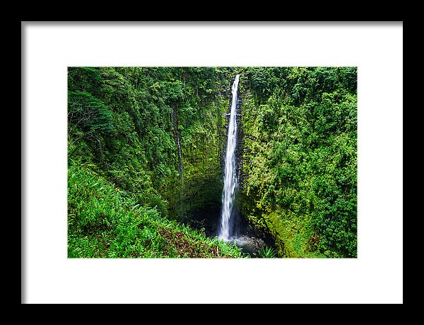 Akaka Falls - Francesco Emanuele Carucci Photography