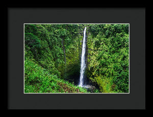 Akaka Falls - Francesco Emanuele Carucci Photography
