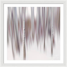 Load image into Gallery viewer, USA, California, Lake Tahoe - Aspen Impressions I - Framed Print - Francesco Emanuele Carucci Photography