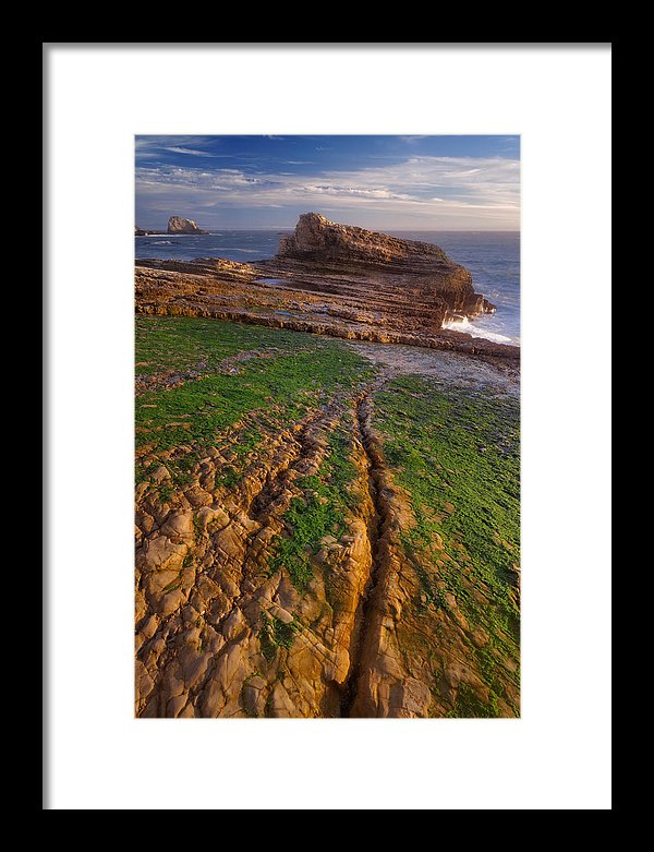 Panther Beach - Falling - Francesco Emanuele Carucci Photography