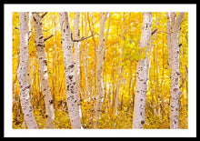 Load image into Gallery viewer, Golden Trees - Francesco Emanuele Carucci Photography