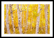 Load image into Gallery viewer, Golden Trees - Francesco Emanuele Carucci Photography