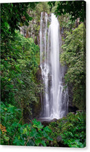 Load image into Gallery viewer, Road To Hana #2 - Francesco Emanuele Carucci Photography