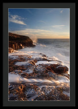 Load image into Gallery viewer, Panther Beach - Torment - Francesco Emanuele Carucci Photography