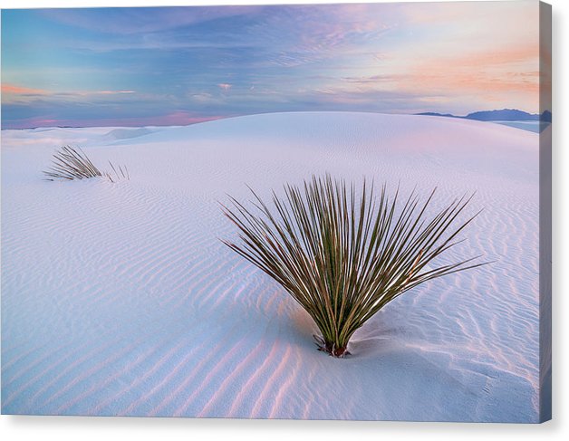 White Dunes - Canvas Print - Francesco Emanuele Carucci Photography